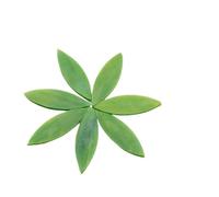 ladrillos de cristal mosaico de vidrio, Leaf Shaped Mosaic Tiles Stained Glass DIY Art Supplies Multicolor Multiple Sizes 35 Pcs(Blue3)