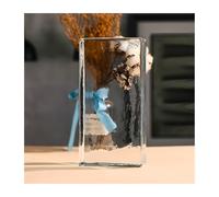 ladrillos de vidrio de proceso, Partición espacial de 7,8 x 3,9 x 1,9 pulgadas con transmisión de luz, aislamiento térmico y acústico.(5pcs)