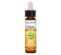 Ladrome 28 Nogal 10ml