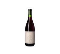Lady of the Sunshine Chene Vineyard Pinot Noir 2023