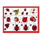 Ladybird Ladybug Collection (Tatuajes temporales de mariquita c1)