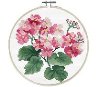 Ladybird Primavera - Kit de punto de cruz con marco de bordado (15,2 cm de diámetro, juego completo para punto de cruz redondo, manualidades, para adultos y niños a partir de 8 años)