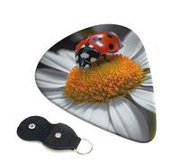 Ladybug Daisy - 6 púas de celuloide de 0,71 mm de grosor con soporte de cuero para púas, púas de guitarra personalizadas para bajo, guitarras eléctricas y acústicas, regalo para los amantes