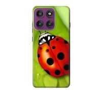 Ladybug Funda Carcasa Case para Motorola Edge 60 Pro