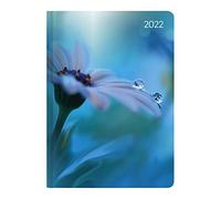 Ladytimer Midi Waterdrops 2022 - Calendario de bolsillo 12 x 17 cm - Gotas - con lámina mate - Libro de notas - Semanal - 192 páginas - Alpha Edition