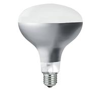 LAES Bombilla REFLECTORA FILAMENTO LED REGULABLE 8W - Ø 125