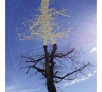 Laetitia Sadier - Rooting For Love [Vinilo]