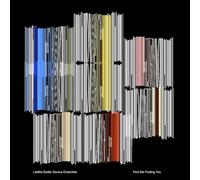 Laetitia Sadier Source Ensemble - Find Me Finding You [Vinilo]