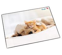 Läufer 30863 - Póster de vade, color Perros y gatos.