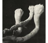 Läuten der Seele - Unterhaltungen mit Larven und Überresten [VINYL] [Vinilo]