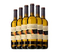 Lagar da Condesa O Fillo Albariño Rías Baixas 75 cl Vino blanco (Caja de 6 Botellas de 75 cl)