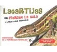 Lagartijas Que Pierden La Cola Y Otras Cosas Increibles