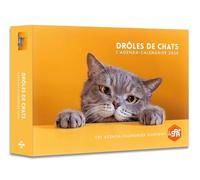 L'agenda-calendrier Drôles de chats