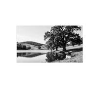 Lago Árbol No.2 Blanco Negro Paisaje Cuadros Salon 70x125cm Sin Marco
