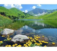 Lago Kit Pintura de Diamantes 5D Adultos Principiantes, montaña Diamond Art Kit Completo, Actividad Relajación Antiestrés, Regalos Originales para Mujeres Cumpleaños, Decoración Hogar 20x30cm qo-96