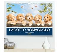 Lagotto Romagnolo - Bilder aus der Kinderstube (hochwertiger Premium Wandkalender 2026 DIN A2 quer), Kunstdruck in Hochglanz: 13 entzückende Fotos von ... begleiten Liebhaber der Rasse durch das Jahr