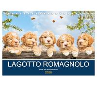 Lagotto Romagnolo - Bilder aus der Kinderstube (Tischkalender 2026 DIN A5 quer), CALVENDO Monatskalender: 13 entzückende Fotos von Lagotto-Welpen begleiten Liebhaber der Rasse durch das Jahr