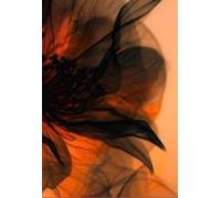 Lágrimas De Áries (ebook)