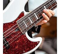 Lahdrhab Juego de 5 cuerdas de acero inoxidable con extremos de bola de color para piezas de repuesto eléctricas de 5 cuerdas