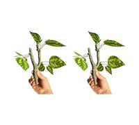 LAIOUSN 2 piezas de vid artificial para lagartijas y serpientes que proporcionan una escalada segura y fácil instalación, decoración de terrarios, reptiles y ramas trepadoras