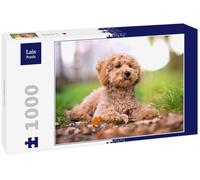 Lais Puzzle Caniche Miniatura 1000 Piezas