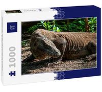 Lais Puzzle Dragón de Komodo 1000 Piezas
