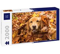 Lais Puzzle Golden Retriever 2000 Piezas