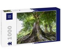 Lais Puzzle Gran árbol Viejo 1000 Piezas