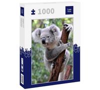 Lais Puzzle Koala Australia 1000 Piezas