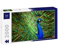 Lais Puzzle Pavo Real 2000 Piezas