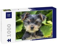 Lais Puzzle Yorkshire Terrier 1000 Piezas