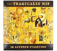 Lake Mx161-x, Zapatillas de Ciclismo Unisex para Adulto, Unisex Adulto, L3013362, Negro, 41