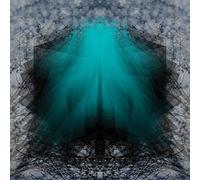 Lake Of Violet - The Startling Testimony Of Plumb Lines [Vinilo]