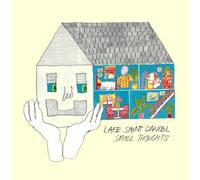 Lake Saint Daniel - Small Thoughts (Coke Bottle Clear) [Vinyl LP] [Vinilo]