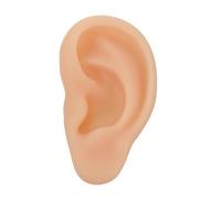 LALADEFIEE Modelo de Oreja de Silicona Realista Suave para Práctica Médica y Exhibición Modelo de Presentación Anatómica para Formación y Consultoría Auditiva Oreja Izquierda Delicada y