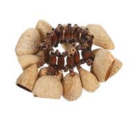 LALADEFIEE Pulsera Portátil y Ligero Tribal Africana de Conchas Naturales Instrumento de Percusión para Viajes y Presentaciones Musicales