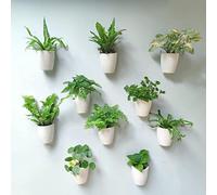 LáLáGreen - Macetas de Pared para Plantas de Interior, Paquete de 10, Maceta de plástico de riego automático de 5 Pulgadas, Sistema de macetas ecológicas Colgantes de Pared, jardín de Pared Vivo