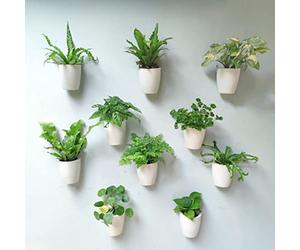 LáLáGreen - Macetas de Pared para Plantas de Interior, Paquete de 10, Maceta de plástico de riego automático de 5 Pulgadas, Sistema de macetas ecológicas Colgantes de Pared, jardín de Pared Vivo