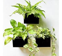 LáLáGreen - Macetero de Pared - Paquete de 3 macetas de Montaje en Pared de 6 Pulgadas para suculentas, Color Negro, Maceta Rectangular de Metal Colgante, Cajas de Ventana largas, Soportes para