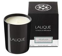LALIQUE Beauty Candle Peuplier Aspen - Vela aromática (190 g)