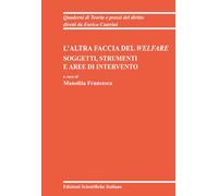 L'altra faccia del Welfare. Soggetti, strumenti e aree di intervento (Quaderni di Teoria e prassi del diritto)