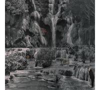 LAMBCHOP - PUNCHING THE CLOWN [Vinilo]