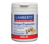 Lamberts Jengibre 120 mg | Extracto Concentrado (14.400 mg equivalente) | Digestión y Bienestar Digestivo | 60 Cápsulas | 60 Días | Calidad Farmacéutica GMP