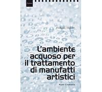 L'ambiente acquoso per il trattamento di manufatti artistici (I talenti)