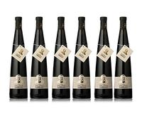 Lambrusco Terre Verdiane CECI - Vino tinto de Emilia Romagna [ 6 BOTTIGLIE x 750 ml ]