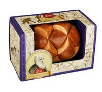 Lamiglówka Darwin`s Evolution Egg Nr. kat PPGM1097