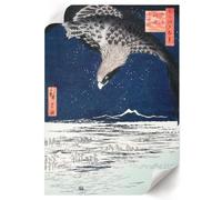 Lámina Decorativa 42x59,4 cm | Tamaño A2 | Halcón japonés