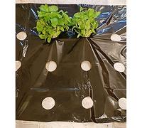 Lámina Protectora para invernaderos, Película de plástico Perforada for mantillo, Color Negro, 95 cm de Ancho y 0,02 mm de Grosor, Disponible en Varios tamaños.(50M)