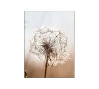 Laminas Decorativas Pared Diente De León Marrón Laminas para Cuadros Cuadros Decoracion Salon Modernos Decoración pared Salon Cuadros Decoracion Dormitorios Cuadros Salon Sin Marco 30x40cm/1 Pcs