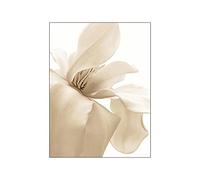 Laminas Decorativas Pared Flores Blancas Caqui Cuadros Decoracion Salon Modernos Dormitorios Cuadros Decorativos Laminas para Cuadros Dormitorio Lienzo Decorativo para Pared Sin Marco 40x60cm